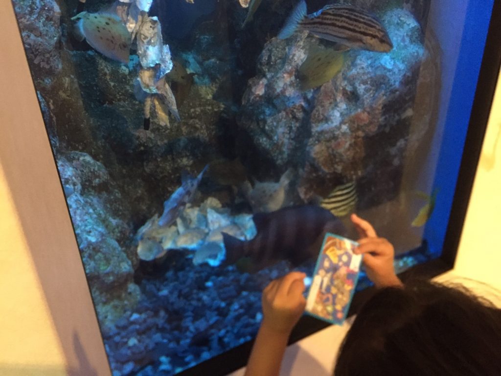 大人気 深海の生き物展示数日本一 たけすいこと竹島水族館に行ってきた Shins