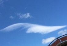 気分よく仕事に行くために…楽しい一日にする為に…毎朝している事!