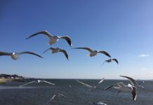 結婚生活24年で別居!幸せとはなにか…悩んでいる方や諦めかけている方に経験者が語る①思ってたのと違う結婚生活