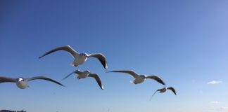 結婚生活24年で別居!幸せとはなにか…悩んでいる方や諦めかけている方に経験者が語る①思ってたのと違う結婚生活