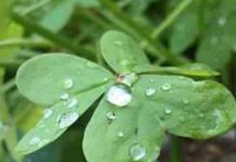 中島みゆきの”HALF”(ハーフ)をご存知でしょうか?なぜHALFという題名にしたのか?「半分」「1/2」切ない歌詞付き