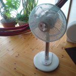 IMG_20190802_102919221