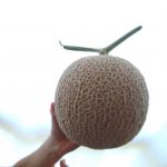 IMG_20190808_120632623