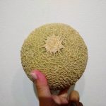 IMG_20190809_002713531