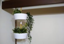 初秋のデスガーデン通信~特別号~ デスガーデニストはさらなるステージへ