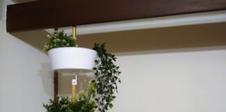 初秋のデスガーデン通信~特別号~ デスガーデニストはさらなるステージへ