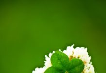 幸せになるためにあなたがすべき5つのこと