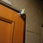 Screenshot_20190803-210526