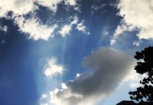 結婚生活24年で別居!幸せとはなにか…悩んでいる方や諦めかけている方に経験者が語る③我慢の見極め