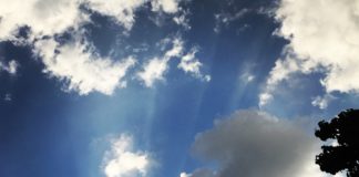 結婚生活24年で別居!幸せとはなにか…悩んでいる方や諦めかけている方に経験者が語る③我慢の見極め