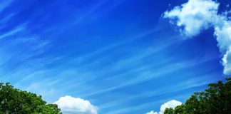 結婚生活24年で別居!幸せとはなにか…悩んでいる方や諦めかけている方に経験者が語る⑧一度きりの人生、楽しむのはあなた次第です。