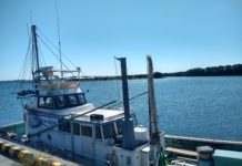 アラフォーの挑戦!船舶免許を取得します②免許を取得する4つの理由と5つのメリット