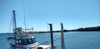 アラフォーの挑戦!船舶免許を取得します②免許を取得する4つの理由と5つのメリット