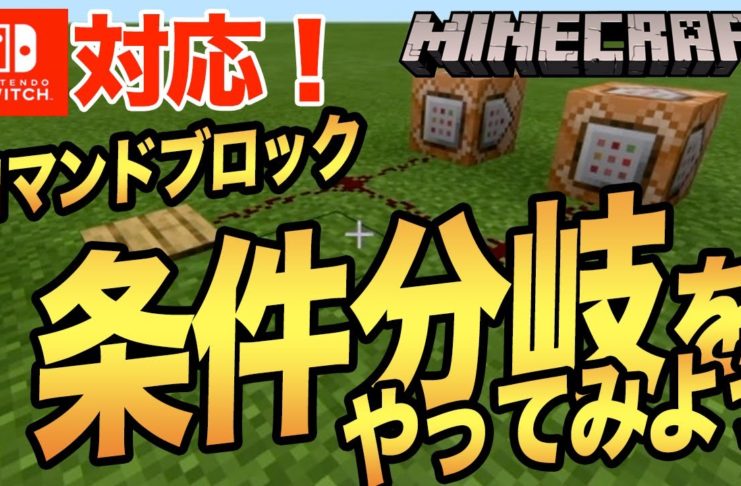 マイクラgo Shins